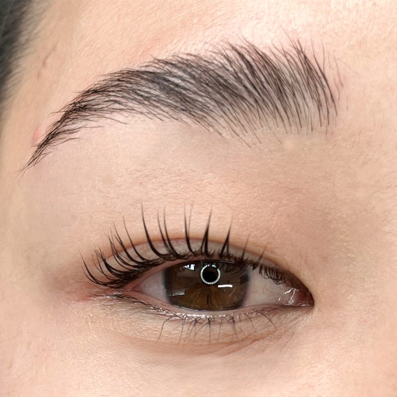 Eyebrow Lamination