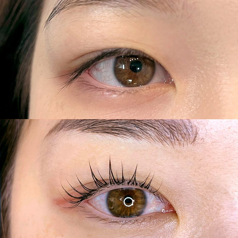 Bellevue Lash Lift
